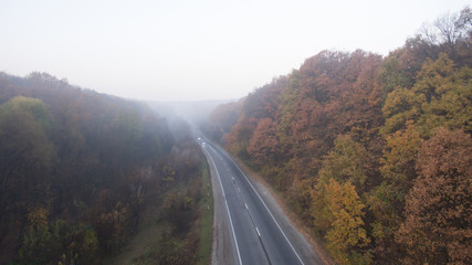 The road among the autumn forest at sunset.