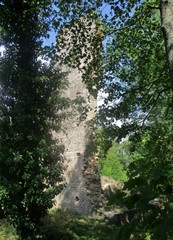Ancienne tour carrée en ruine dissimulée dans la végétation. 