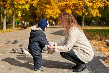 Fototapeta premium Mom with a son feed pigeons in the park in the fall.