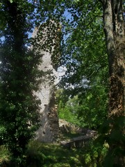Tour carrée d'un château en ruine envahi par la végétation.  Château de Montaigu, Mercurey, Bourgogne, France. 