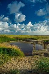 Fototapeta premium kleiner Teich