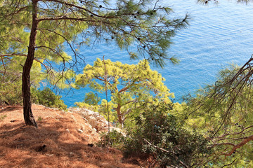 Fototapeta premium View of the azure lagoon of the Mediterranean Sea
