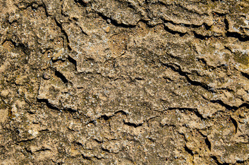 Background, natural stone, rock on the seashore.