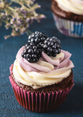 Delicious cupcake with blackberry. Closeup
