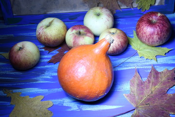 Fresh orange pumpkin, red and yellow ripe apples on blue background with dry leaves