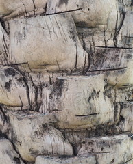 Solid texture background