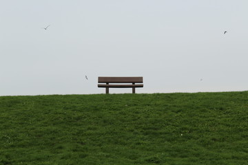 Fototapeta premium bench in park