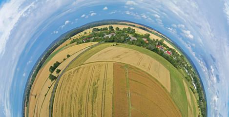Aerial drone 180 degree panoramic view on damaged wheat field after wind storm, rural landscape