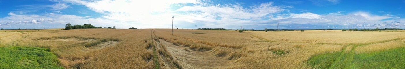 Aerial drone wide panoramic view on damaged wheat field after wind storm, rural landscape