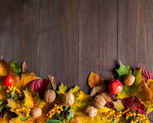 Liście, orzechy, jarzębina i dary jesieni na drewnianym tle, miejsce na napis  © Nicole
