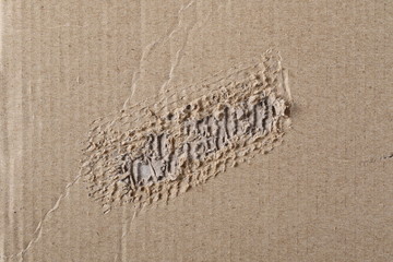 Torn cardboard background and texture