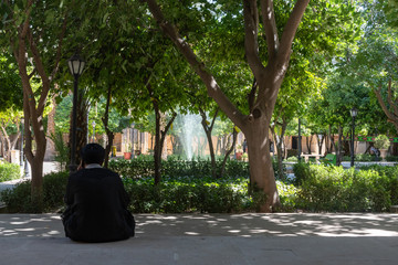 Khan madressa of Shiraz - Iran