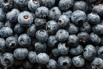 Fresh Blueberries In Drops Of Water. Top View. Close Up. Macro.