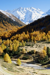 Goldener Oktober im Val Livigno