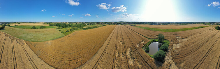Aerial drone wide panoramic view on agricultural landscape with wheat field, water pond, meadows and forest