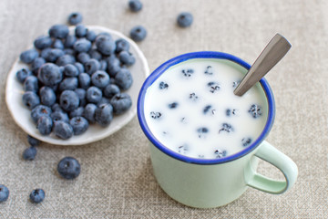 Enamel mug with milk and blueberries