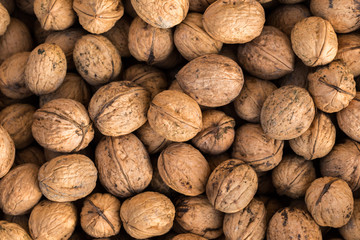 Walnuts. Whole walnuts background. Many walnuts close-up. Walnut texture.