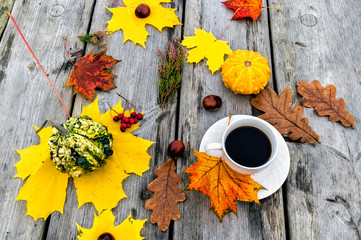 Colorful maple and oak leaves, decorative pumpkin and cup of black coffee on background of wooden table