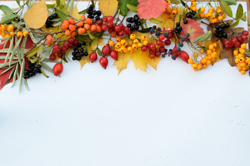 Beautiful autumn frame of leaves and fruit berries on white
