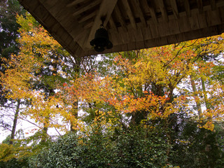 京都_勝林院_紅葉