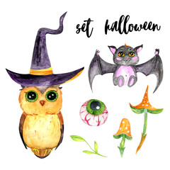 Watercolor Set of Halloween objects . Witch hat, owl, mushrooms, flowers, broom. Hand painted isolated on a white background. Great for print on textile, wallpaper, postcards, designs. cartoon style