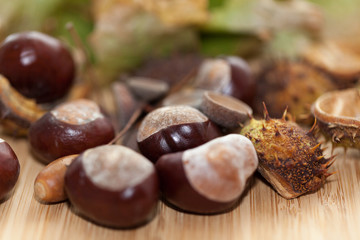 Autumn harvest on wooden background.