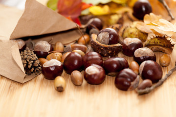 Autumn harvest on wooden background.