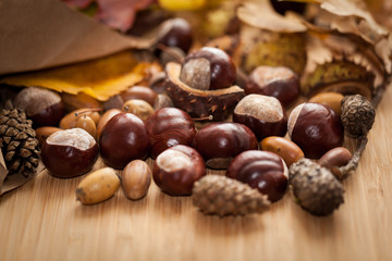 Autumn harvest on wooden background.