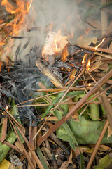 Fire dry coconut tree leaf with plastic cup in garden, Closeup
