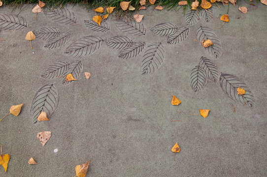 Patterns of leaf prints on a concrete road
