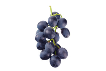 blue grape isolated on a white background. Food