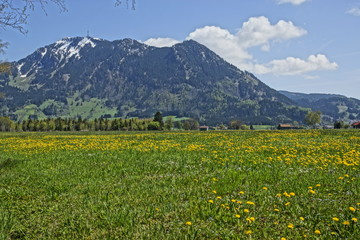 Fototapeta na wymiar Allgäuer Landschaft