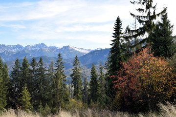 Natural mountain landscape. Territory of Poland. Tatra mountains. Wonderful autumn day.  Blue sky and green fir-trees.