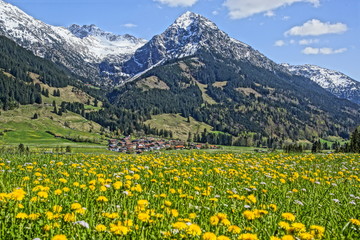 Allgäuer Landschaft