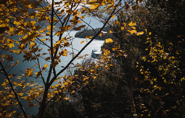 Blick durch herbstliche Bäume auf Schiff an Gaisalm Achensee Anlegestelle Boot 