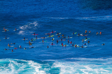 A crowd of surfers waiting for a wave