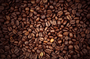 Coffee beans close-up