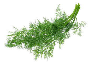 fresh bunch of dill isolated on white background