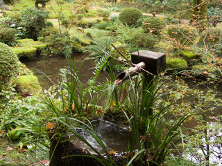 京都_三千院_紅葉