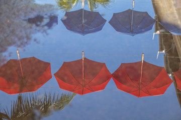 umbrella on blue sky background