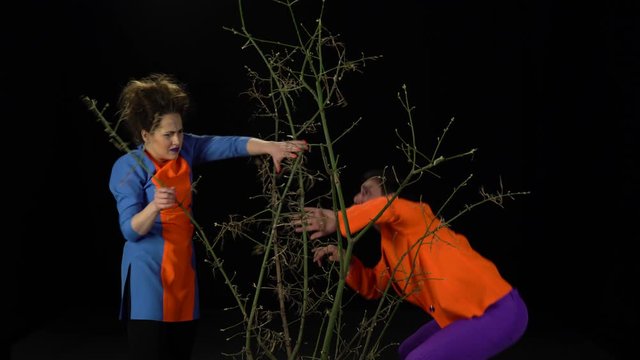 Crazy couple in bright clothes make their way through the branches on a black background