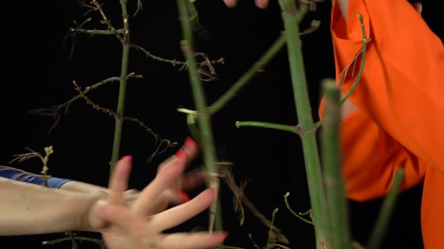 Close up of man and woman hands breaking through branches on a black background