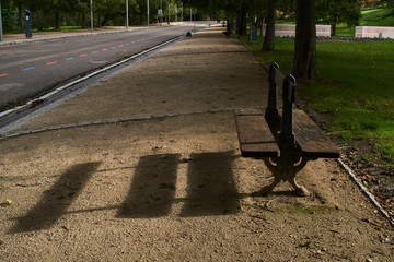 Sombras al amanecer en el parque