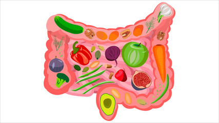 Healthy food for intestinal health. Illustration on a white background.