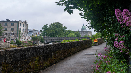 View of the River Corrib in the center of Galway with old stone walls, wild flowers, trees & view of the Cathedral on a cloudy day.
