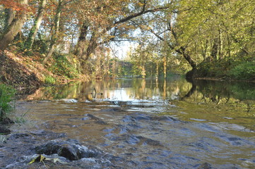 Płynaca rzeka przez park