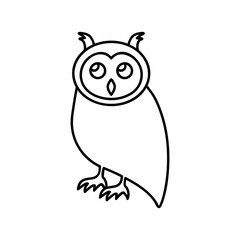 Owl bird line icon, outline vector sign, linear style pictogram isolated on white. Halloween holiday Symbol, logo illustration.