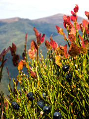 hiking mountains landscape