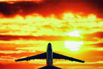 The plane flies in the sky above the clouds.