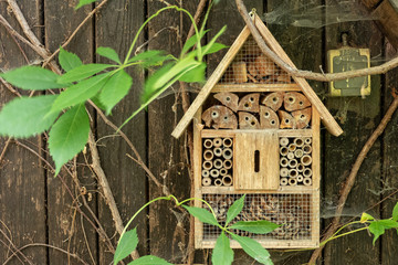 Insektenhotel für insekten und schmetterlinge zum brüten und überwintern
